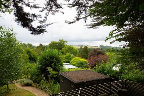 View Full Details for Hewish, Crewkerne