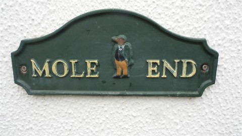 View Full Details for George Lane, South Petherton