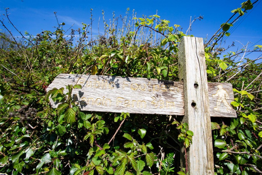 Images for Wambrook, Chard