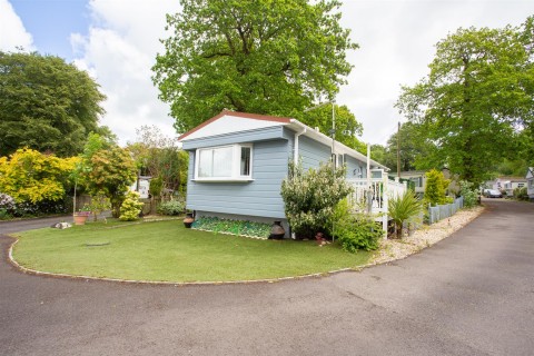 View Full Details for Howley, Chard