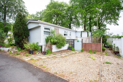 View Full Details for Howley, Chard